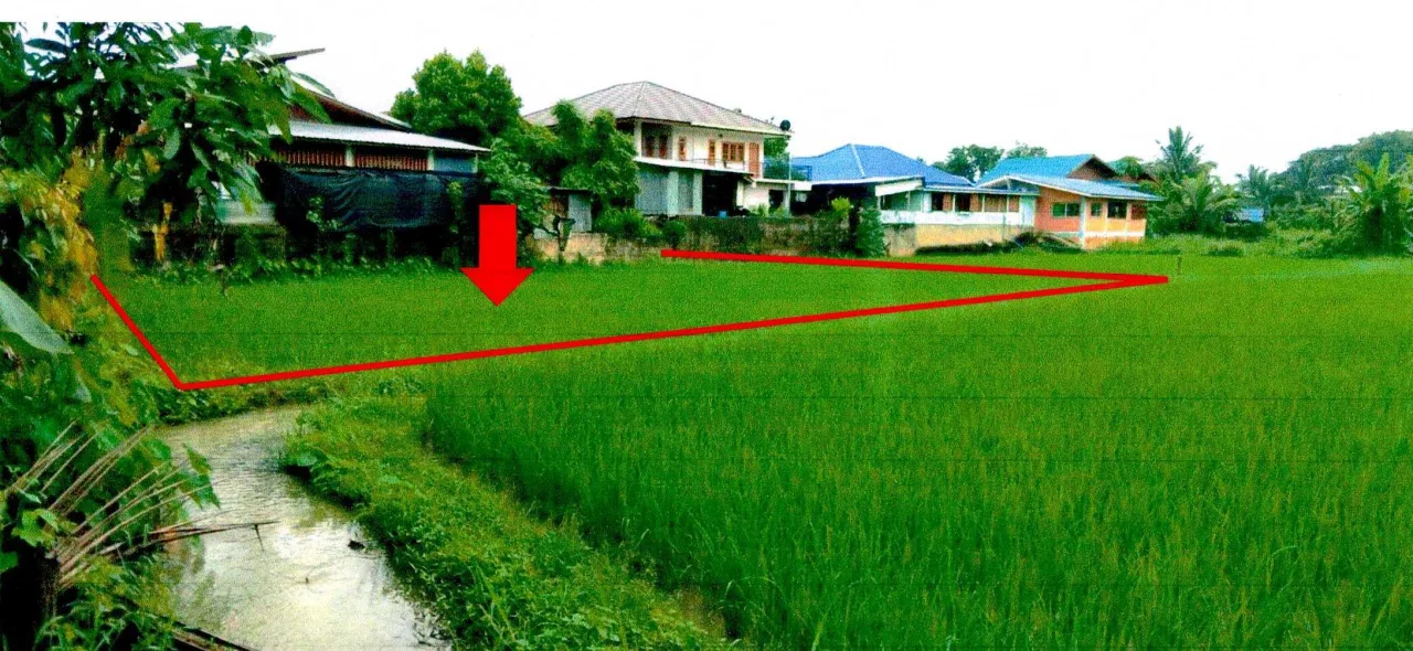 ขายทอดตลาด ที่ดินว่างเปล่า ต.ไชยวัฒนา อ.ปัว จ.น่าน