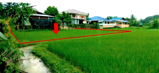 ขายทอดตลาด ที่ดินว่างเปล่า ต.ไชยวัฒนา อ.ปัว จ.น่าน