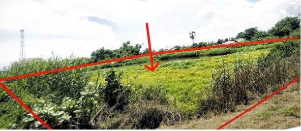 ขายทอดตลาด ที่ดินว่างเปล่า ต.บางปลาร้า อ.บ้านสร้าง จ.ปราจีนบุรี