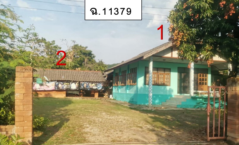 ขายทอดตลาด ที่ดินพร้อมสิ่งปลูกสร้าง ต.ท่าข้าวเปลือก อ.แม่จัน จ.เชียงราย