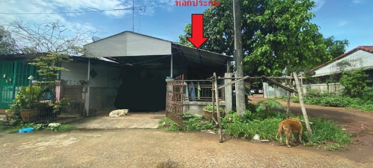 ขายทอดตลาด ที่ดินพร้อมสิ่งปลูกสร้าง ต.ศรีมหาโพธิ อ.ศรีมหาโพธิ จ.ปราจีนบุรี