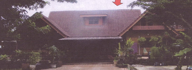ขายทอดตลาด ที่ดินพร้อมสิ่งปลูกสร้าง ต.ทุ่งมะพร้าว อ.ท้ายเหมือง จ.พังงา