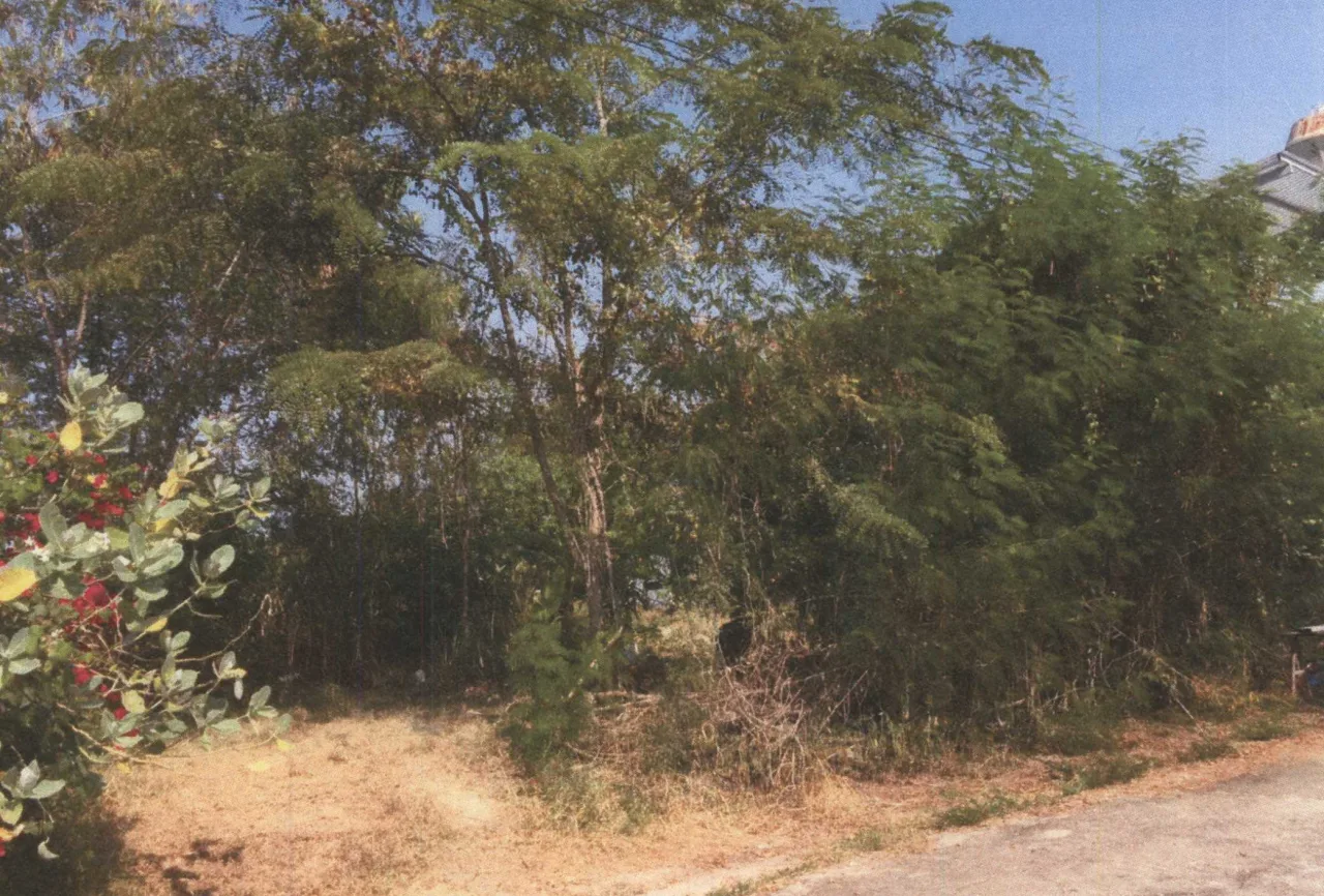 ขายทอดตลาด ที่ดินว่างเปล่า ต.บางบัวทอง อ.บางบัวทอง จ.นนทบุรี