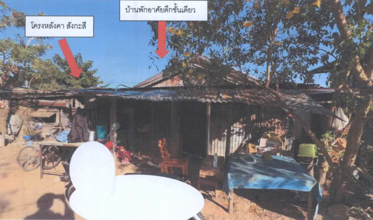 ขายทอดตลาด ที่ดินพร้อมสิ่งปลูกสร้าง ต.กระโทก อ.โชคชัย จ.นครราชสีมา