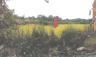 รูปทรัพย์ 1