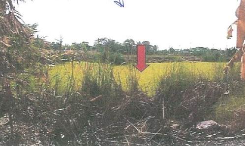 ขายทอดตลาด ที่ดินว่างเปล่า ต.บ้านใหม่ อ.บางใหญ่ จ.นนทบุรี