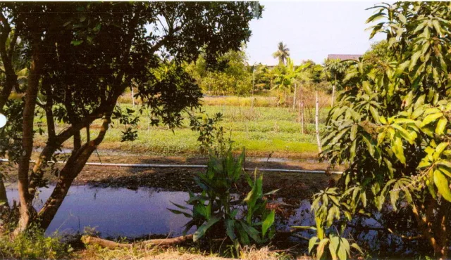 ขายทอดตลาด ที่ดินว่างเปล่า ต.ไทรใหญ่ อ.ไทรน้อย จ.นนทบุรี