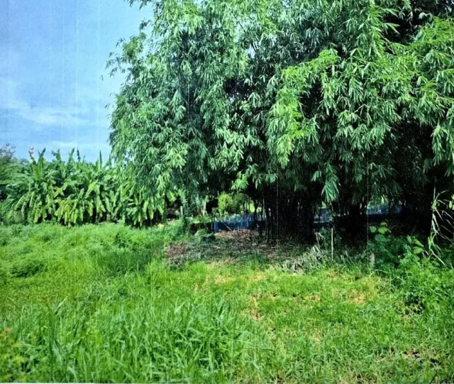 ขายทอดตลาด ที่ดินว่างเปล่า ต.บางคูรัด อ.บางบัวทอง จ.นนทบุรี