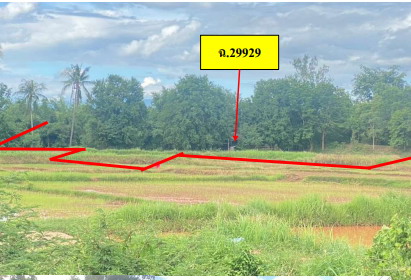 ขายทอดตลาด ที่ดินว่างเปล่า จ.พิษณุโลก