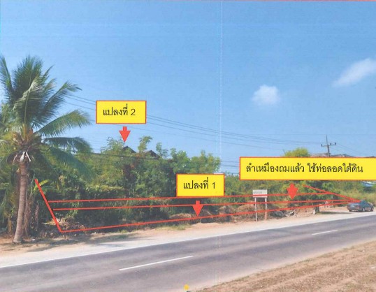 ขายทอดตลาด ที่ดินพร้อมสิ่งปลูกสร้าง ต.(วัดจันทร์) ในเมือง อ.เมืองพิษณุโลก จ.พิษณุโลก