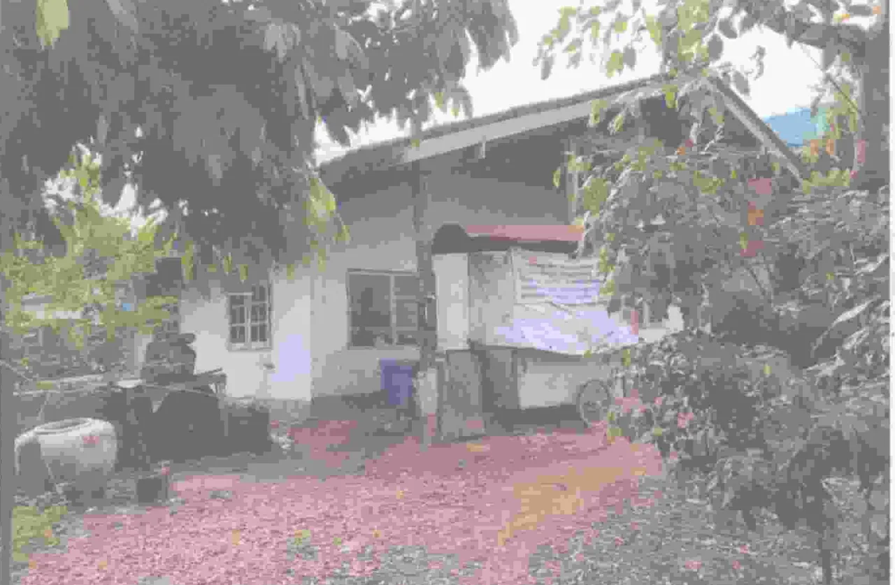 ขายทอดตลาด ที่ดินพร้อมสิ่งปลูกสร้าง ต.โคกกรวด อ.เมืองนครราชสีมา จ.นครราชสีมา