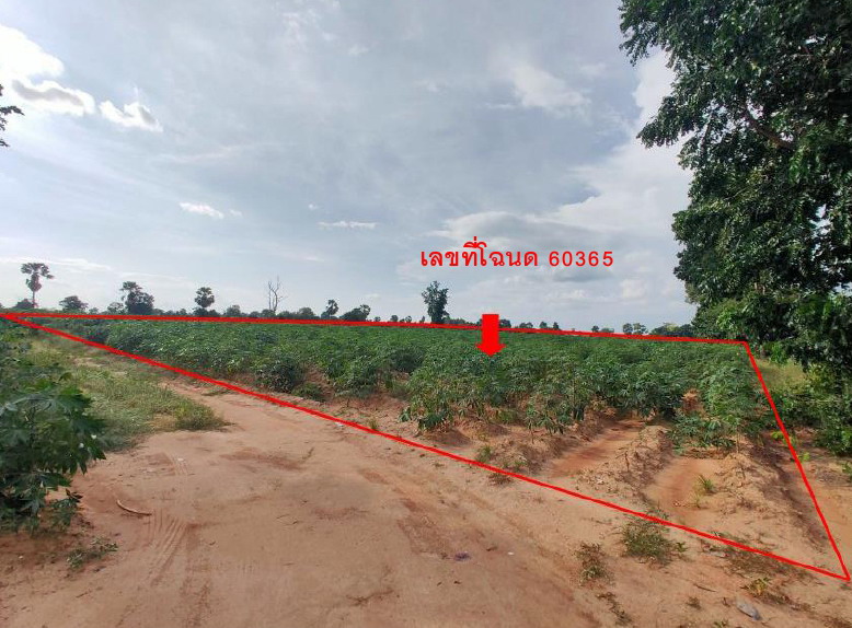 ขายทอดตลาด ที่ดินว่างเปล่า ต.สำโรง อ.ปักธงชัย จ.นครราชสีมา