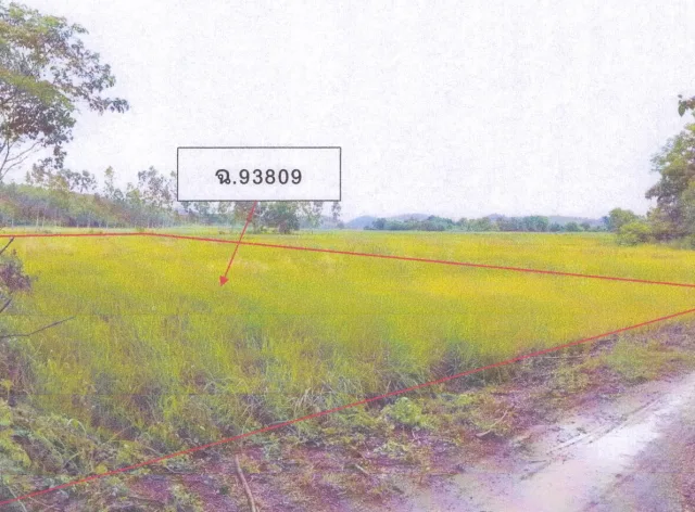ขายทอดตลาด ที่ดินว่างเปล่า ต.วังหิน อ.เมืองตาก จ.ตาก