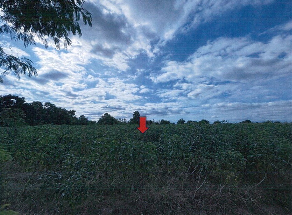 ขายทอดตลาด ที่ดินว่างเปล่า ต.หนองสรวง อ.ขามทะเลสอ จ.นครราชสีมา