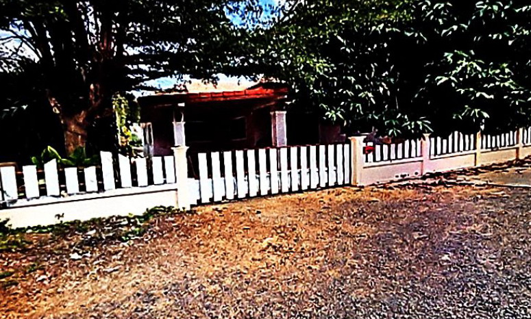 ขายทอดตลาด ที่ดินพร้อมสิ่งปลูกสร้าง ต.โพธิ์กลาง อ.เมืองนครราชสีมา จ.นครราชสีมา