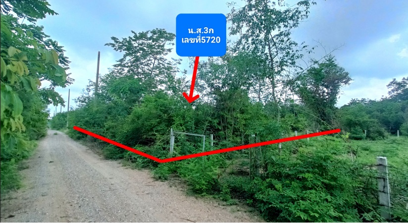 ขายทอดตลาด ที่ดินว่างเปล่า ต.ธงชัยเหนือ อ.ปักธงชัย จ.นครราชสีมา