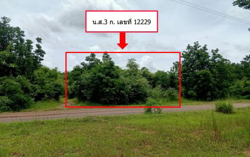 ขายทอดตลาด ที่ดินว่างเปล่า จ.อำนาจเจริญ