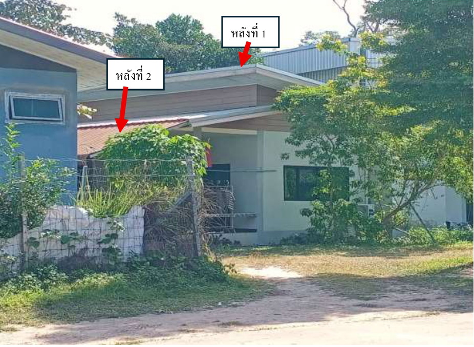 ขายทอดตลาด ที่ดินพร้อมสิ่งปลูกสร้าง ต.สันทราย อ.เมืองเชียงราย จ.เชียงราย