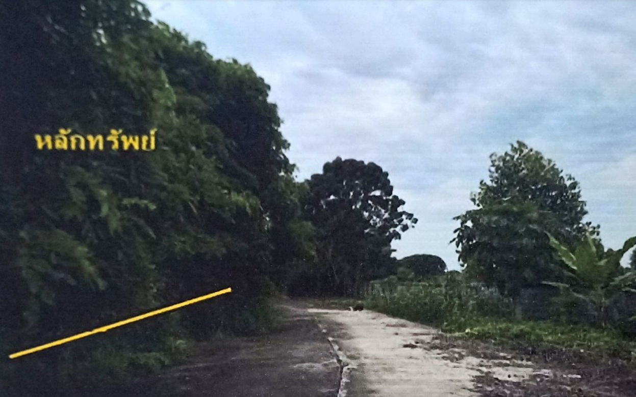 ขายทอดตลาด ที่ดินว่างเปล่า จ.นราธิวาส