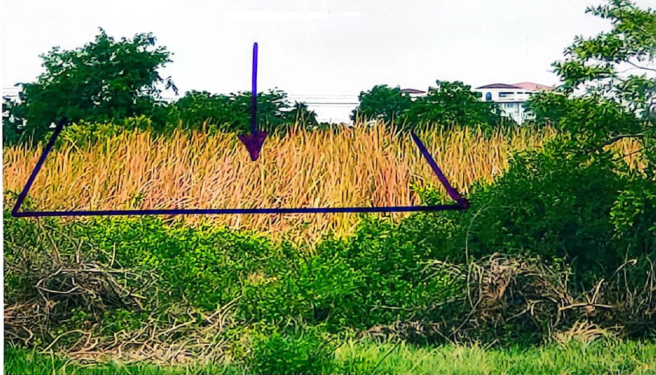 ขายทอดตลาด ที่ดินว่างเปล่า ต.หัวทะเล อ.เมืองนครราชสีมา จ.นครราชสีมา
