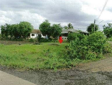 ขายทอดตลาด ที่ดินว่างเปล่า ต.ลำคอหงษ์ อ.โนนสูง จ.นครราชสีมา