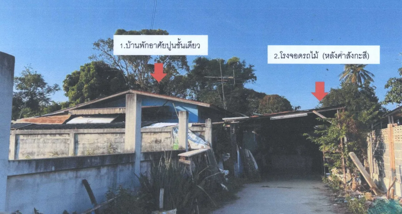 ขายทอดตลาด ที่ดินพร้อมสิ่งปลูกสร้าง ต.หัวทะเล อ.เมืองนครราชสีมา จ.นครราชสีมา