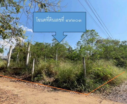 ขายทอดตลาด ที่ดินว่างเปล่า ต.ทุ่งอรุณ อ.โชคชัย จ.นครราชสีมา