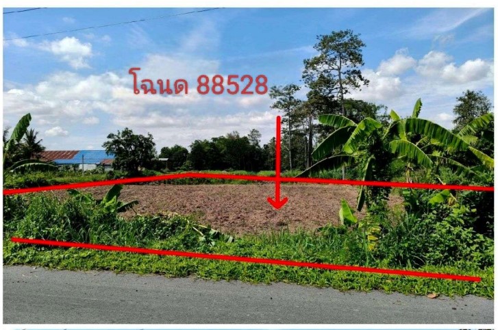 ขายทอดตลาด ที่ดินว่างเปล่า ต.ตูม อ.ปักธงชัย จ.นครราชสีมา