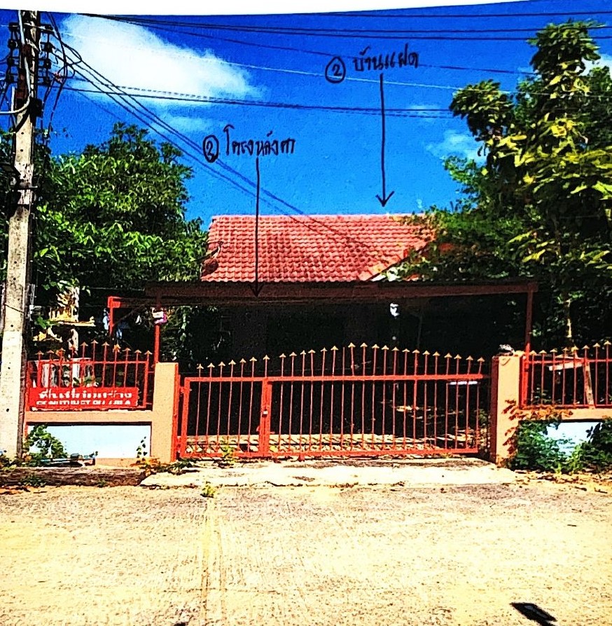 ขายทอดตลาด ที่ดินพร้อมสิ่งปลูกสร้าง ต.หนองบัวศาลา อ.เมืองนครราชสีมา จ.นครราชสีมา