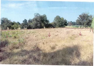 รูปทรัพย์ 1