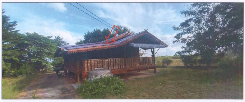 ขายทอดตลาด ที่ดินพร้อมสิ่งปลูกสร้าง ต.สระพระ อ.พระทองคำ จ.นครราชสีมา