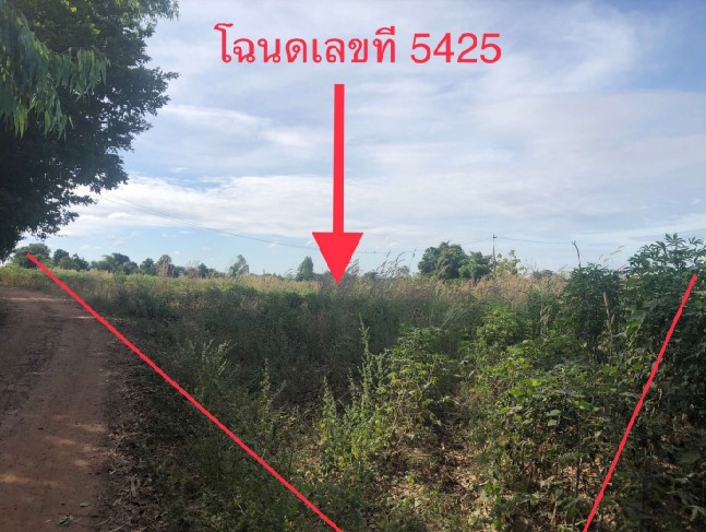 ขายทอดตลาด ที่ดินว่างเปล่า ต.ดงเมืองแอม อ.เขาสวนกวาง จ.ขอนแก่น