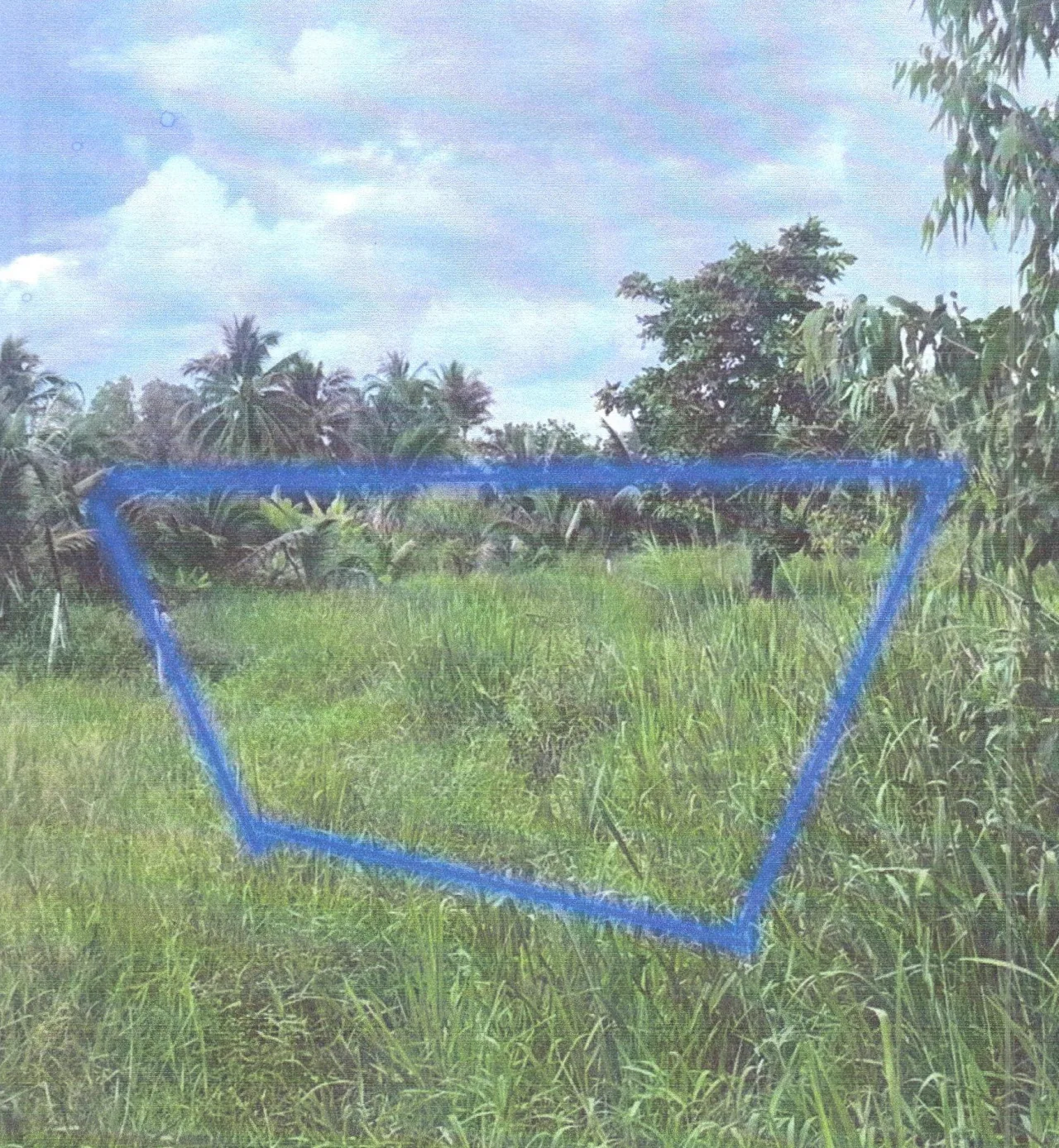 ขายทอดตลาด ที่ดินว่างเปล่า ต.สะแกราช อ.ปักธงชัย จ.นครราชสีมา