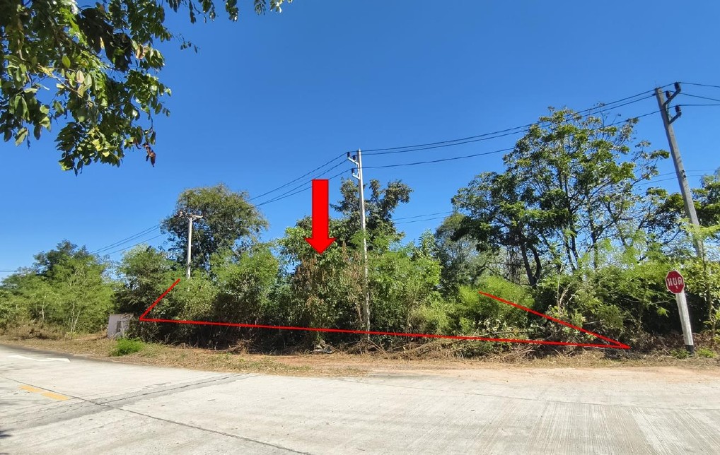 ขายทอดตลาด ที่ดินว่างเปล่า จ.อุตรดิตถ์