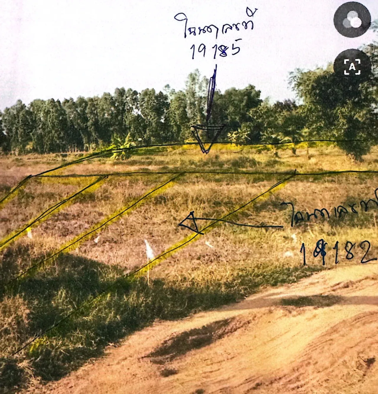 ขายทอดตลาด ที่ดินว่างเปล่า จ.นครราชสีมา