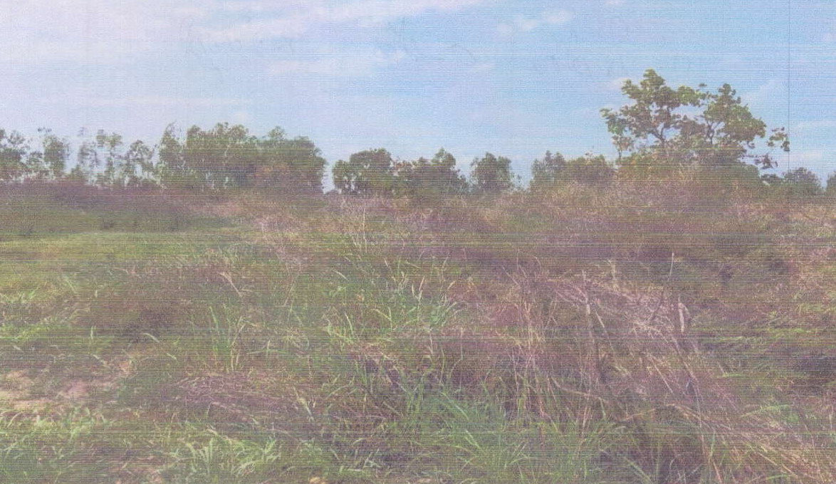 ขายทอดตลาด ที่ดินว่างเปล่า ต.หนองไผ่ อ.เมืองชัยภูมิ จ.ชัยภูมิ