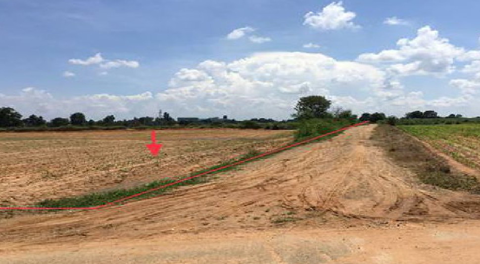 ขายทอดตลาด ที่ดินว่างเปล่า ต.หนองบัวศาลา(หัวทะเล) อ.เมืองนครราชสีมา จ.นครราชสีมา