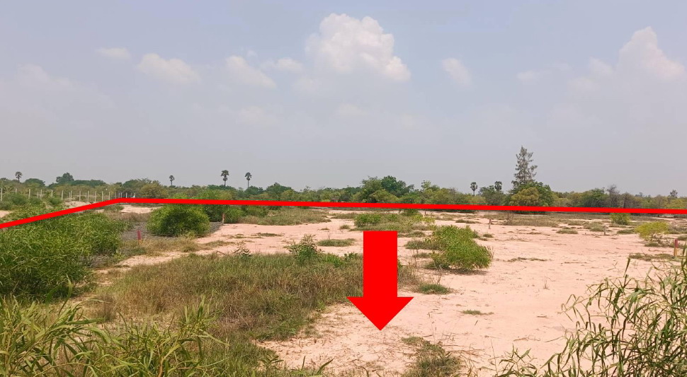 ขายทอดตลาด ที่ดินว่างเปล่า จ.กำแพงเพชร