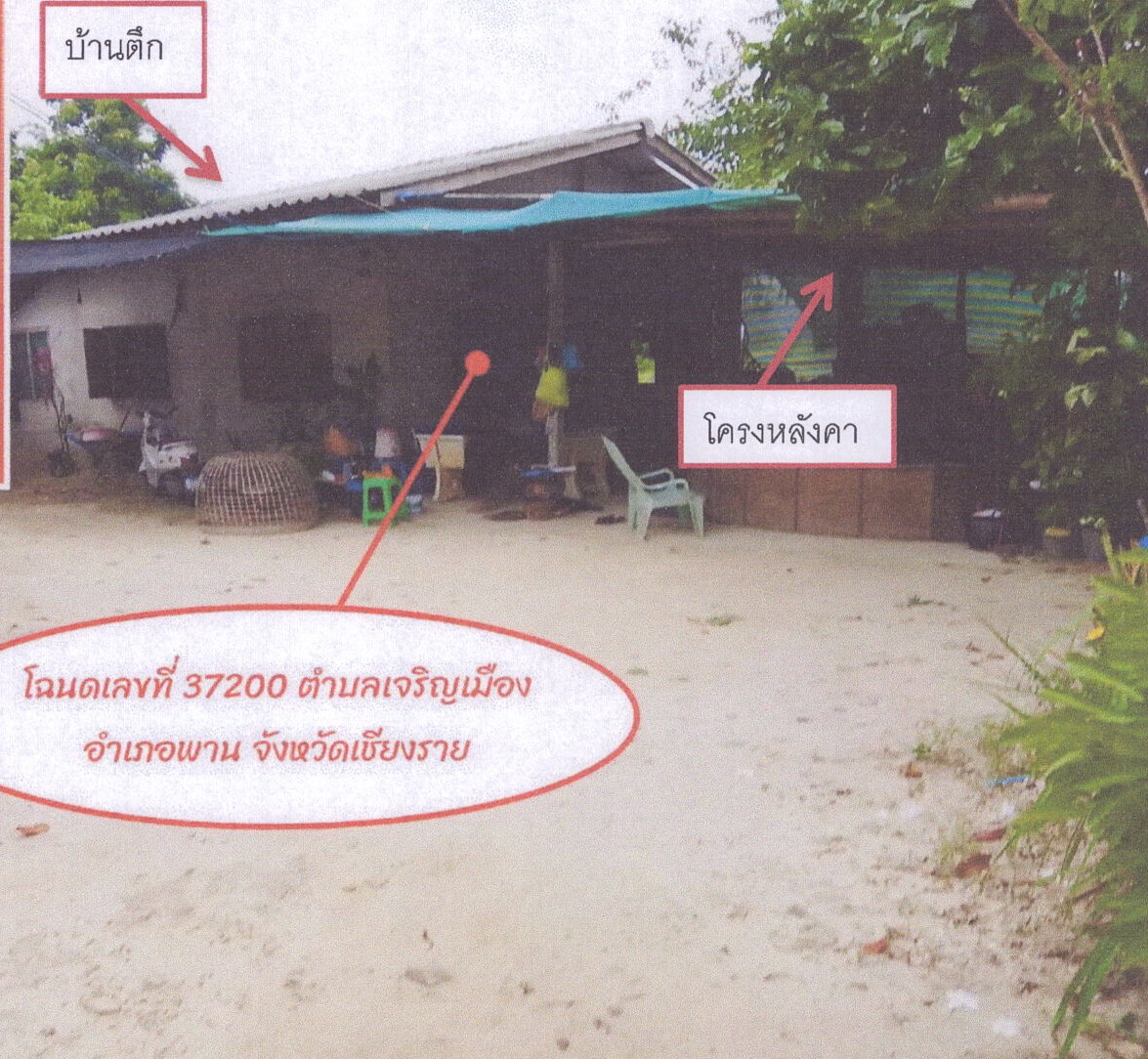 ขายทอดตลาด ที่ดินพร้อมสิ่งปลูกสร้าง ต.เจริญเมือง อ.พาน จ.เชียงราย