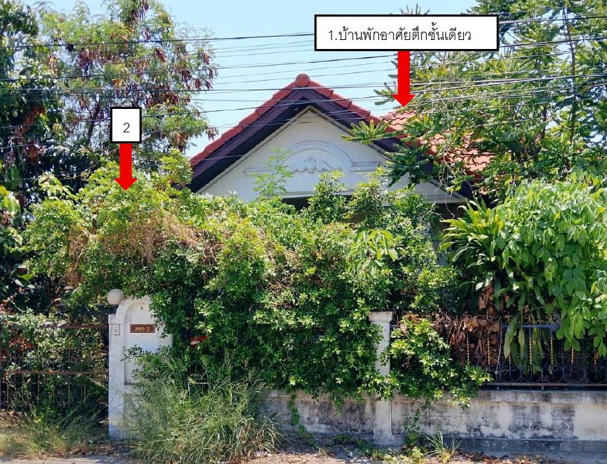 ขายทอดตลาด ที่ดินพร้อมสิ่งปลูกสร้าง ต.จอหอ อ.เมืองนครราชสีมา จ.นครราชสีมา