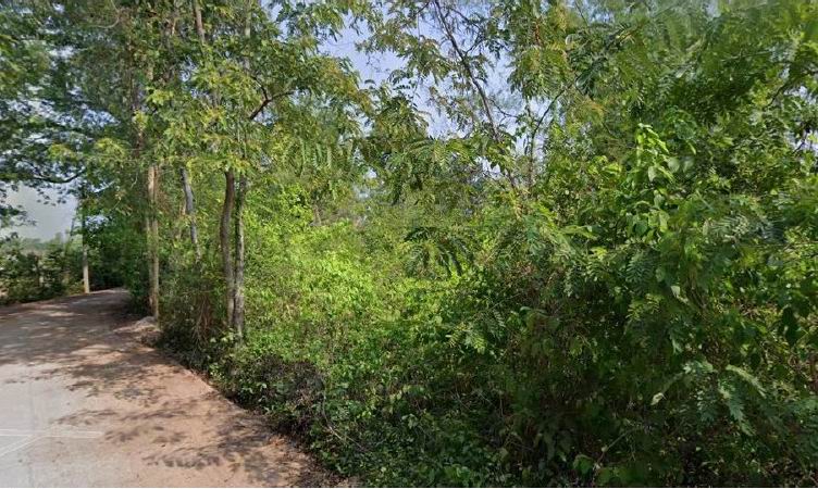 ขายทอดตลาด ที่ดินว่างเปล่า ต.โพนทัน อ.คำเขื่อนแก้ว จ.ยโสธร