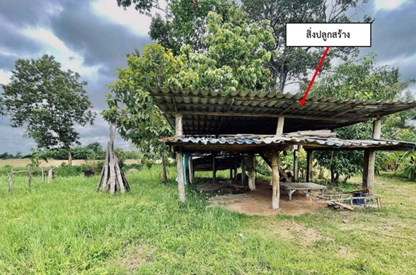 ขายทอดตลาด ที่ดินพร้อมสิ่งปลูกสร้าง ต.โคกพระ อ.กันทรวิชัย จ.มหาสารคาม