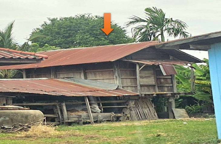 ขายทอดตลาด ที่ดินพร้อมสิ่งปลูกสร้าง ต.หนองคูขาด อ.บรบือ จ.มหาสารคาม