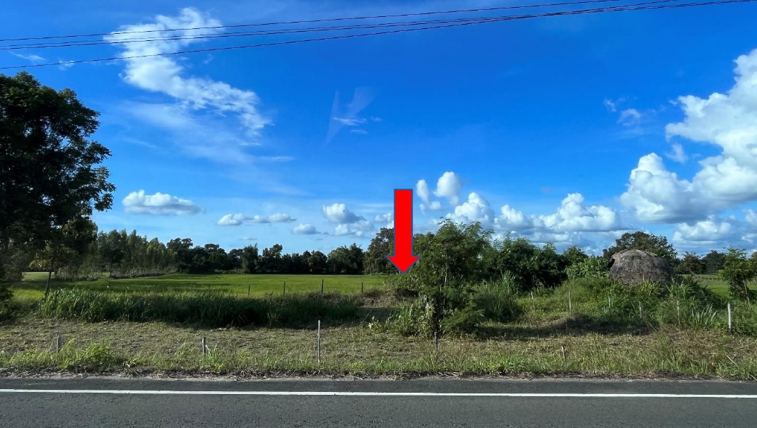 ขายทอดตลาด ที่ดินว่างเปล่า ต.ดงบัง อ.นาดูน จ.มหาสารคาม