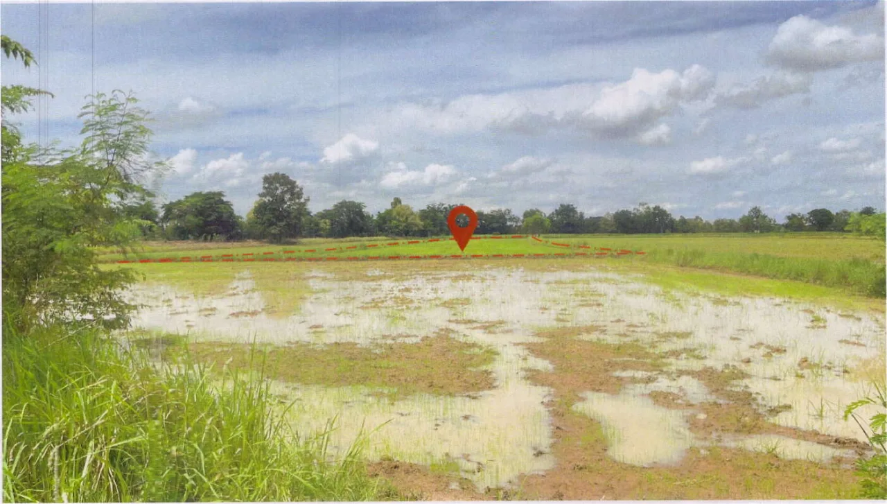 ขายทอดตลาด ที่ดินว่างเปล่า ต.หนองไผ่ อ.เมืองชัยภูมิ จ.ชัยภูมิ