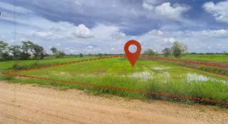 รูปทรัพย์ 2