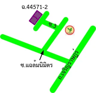 รูปทรัพย์ 2