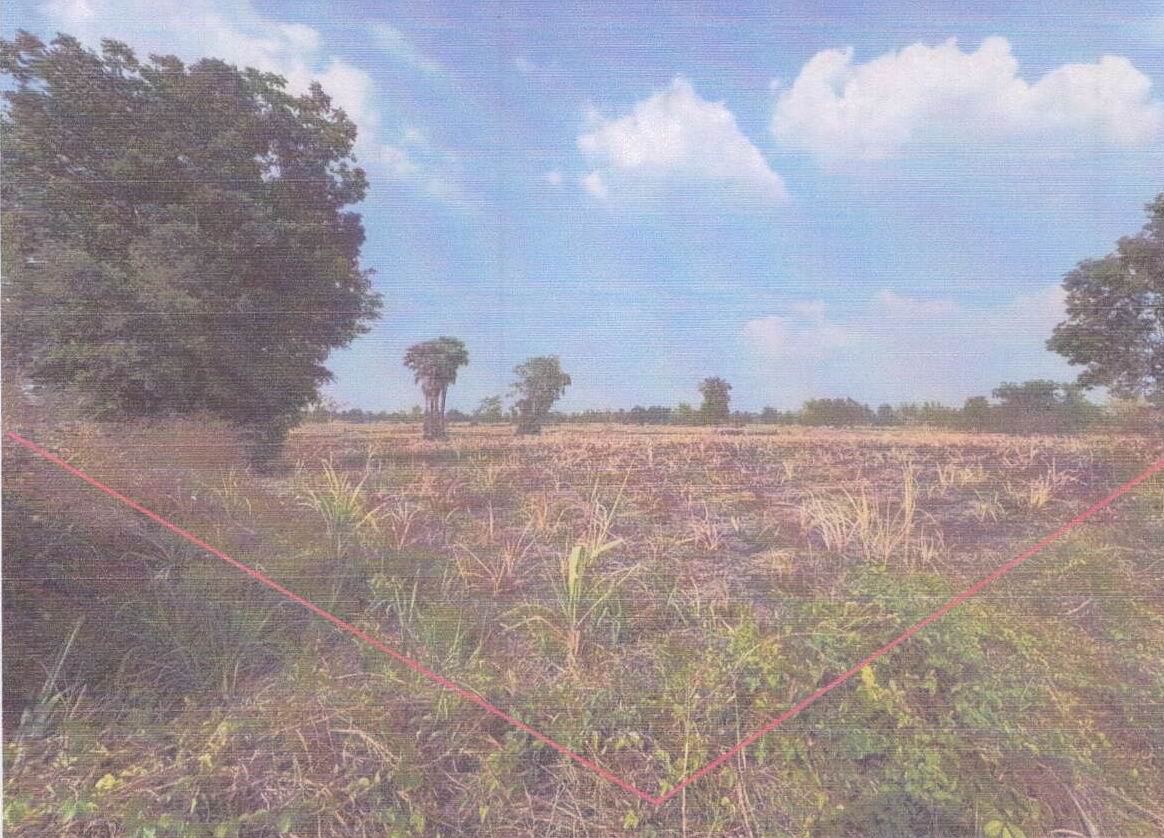 ขายทอดตลาด ที่ดินว่างเปล่า ต.หนองฉิม อ.เนินสง่า จ.ชัยภูมิ
