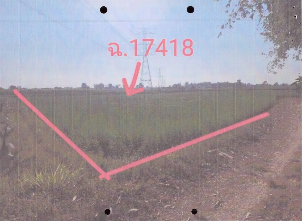 ขายทอดตลาด ที่ดินว่างเปล่า จ.ชัยภูมิ