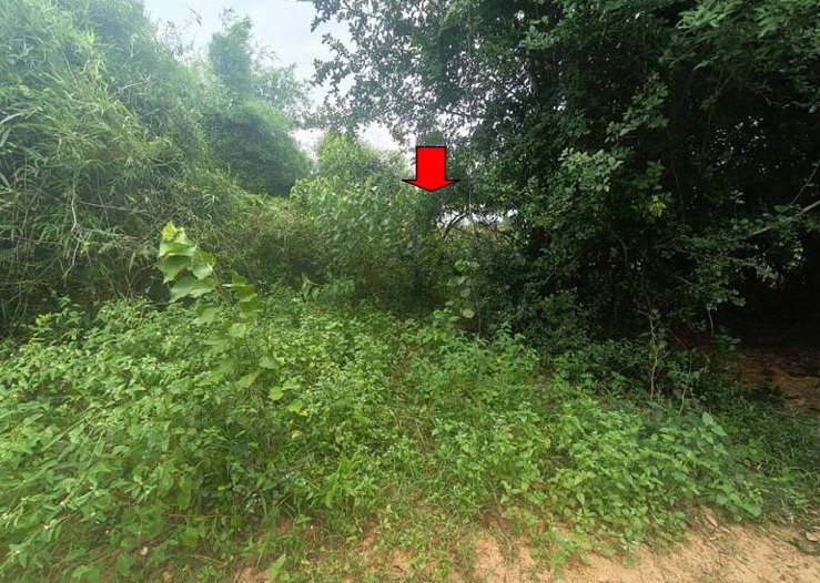 ขายทอดตลาด ที่ดินว่างเปล่า ต.โนนสมบูรณ์ อ.บ้านไผ่ จ.ขอนแก่น